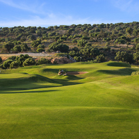 The Golf Cruise