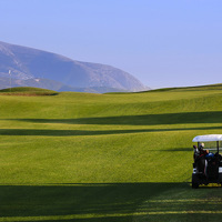 The Golf Cruise